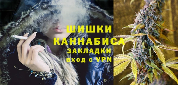 дживик Абаза
