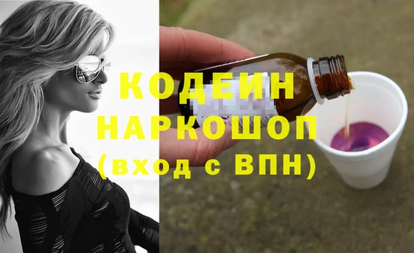 дживик Абаза
