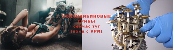 твердый Абдулино