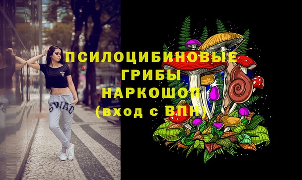 дживик Абаза