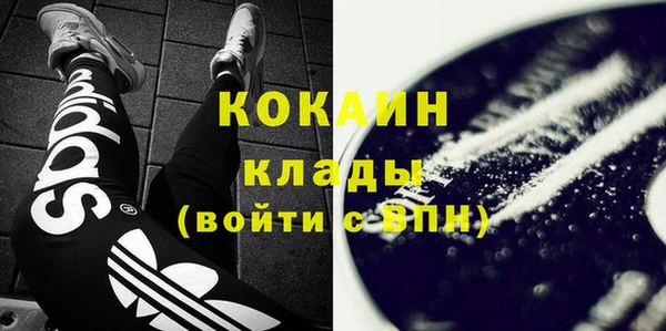 дживик Абаза