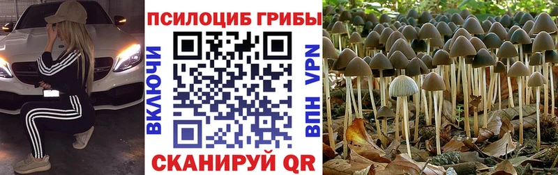 Галлюциногенные грибы Magic Shrooms  Энем 