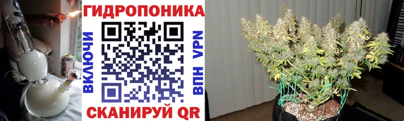 купить наркоту  Энем  Шишки марихуана THC 21% 